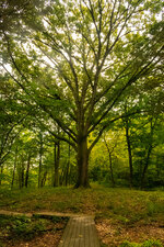 The Parklands of Floyd's Fork