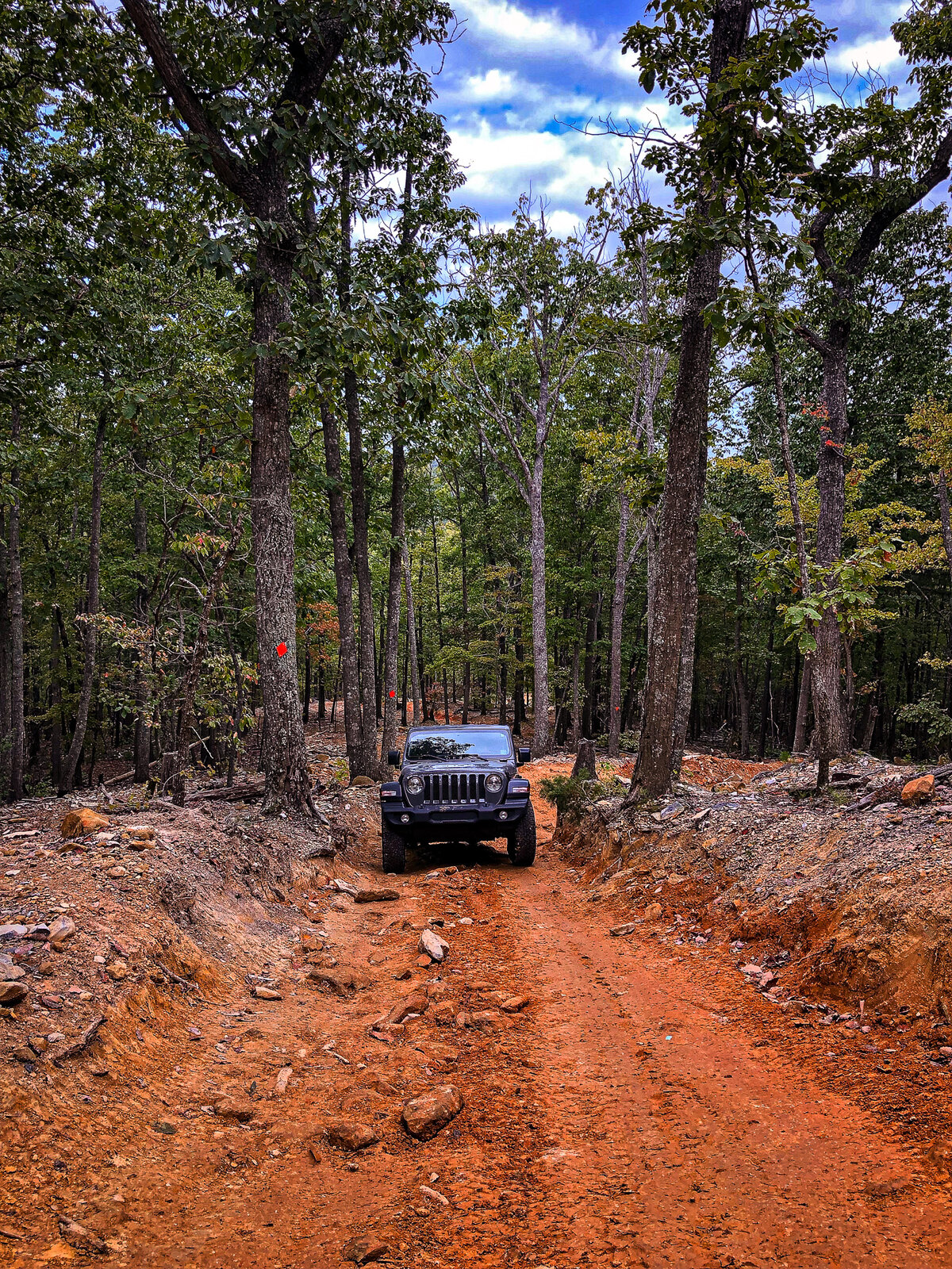 Uwharrie National Forest