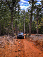 Uwharrie National Forest