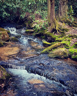 Singletree Gap