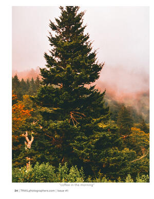 Great Smoky Mountains - North Carolina, USA