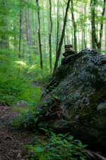 Walnut Mountain