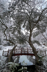 Abby Aldrich Rockefeller Garden