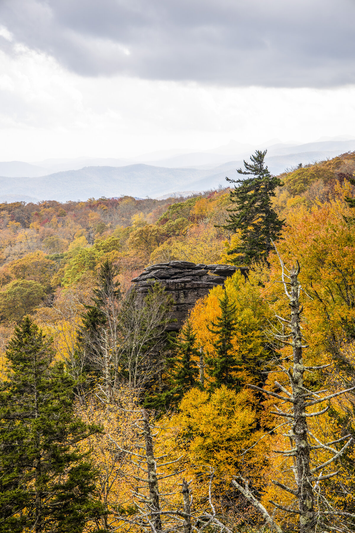 Linn Cove Viaduct