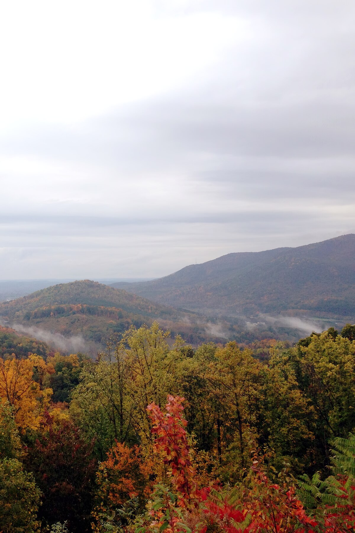 Fog Over the Valley