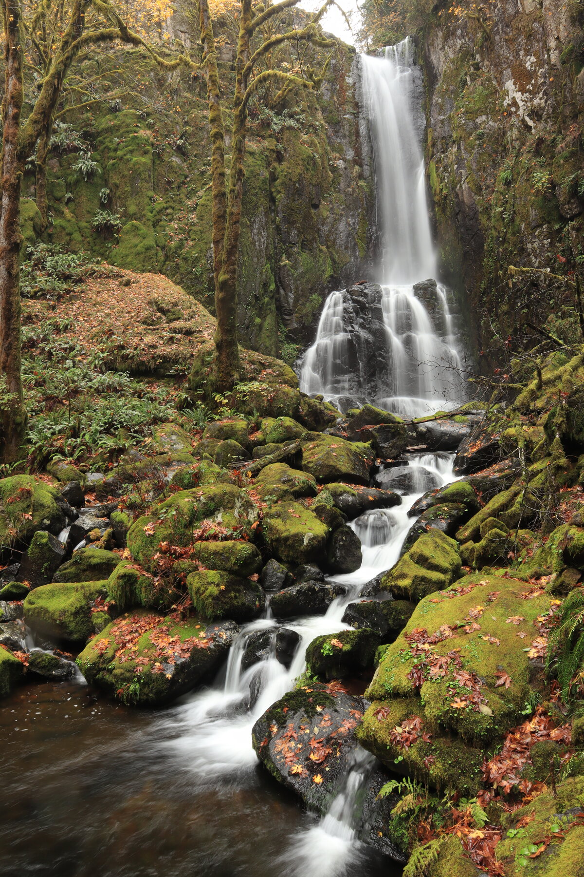 Lower Kentucky Falls