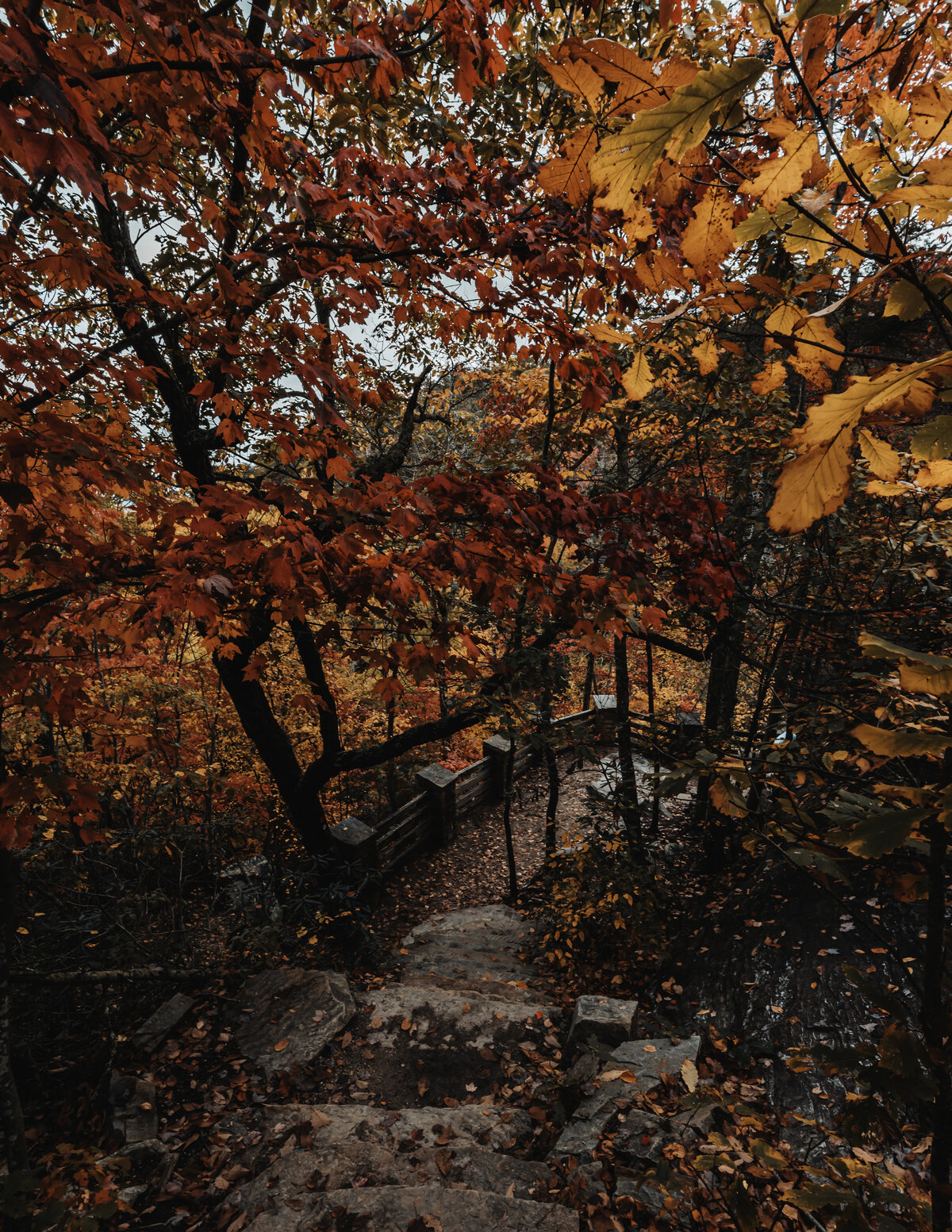 Hanging Rock State Park