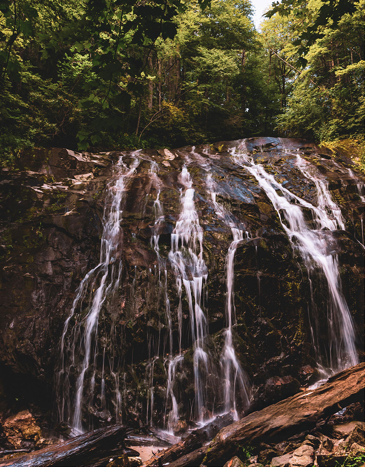 Glen Burney Trail