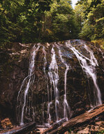 Glen Burney Trail