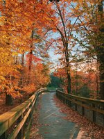 Neuse River Trail