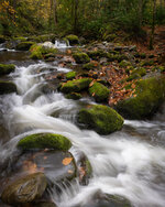 Autumn in the Smokies