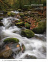Autumn in the Smokies