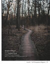 woodland whispers